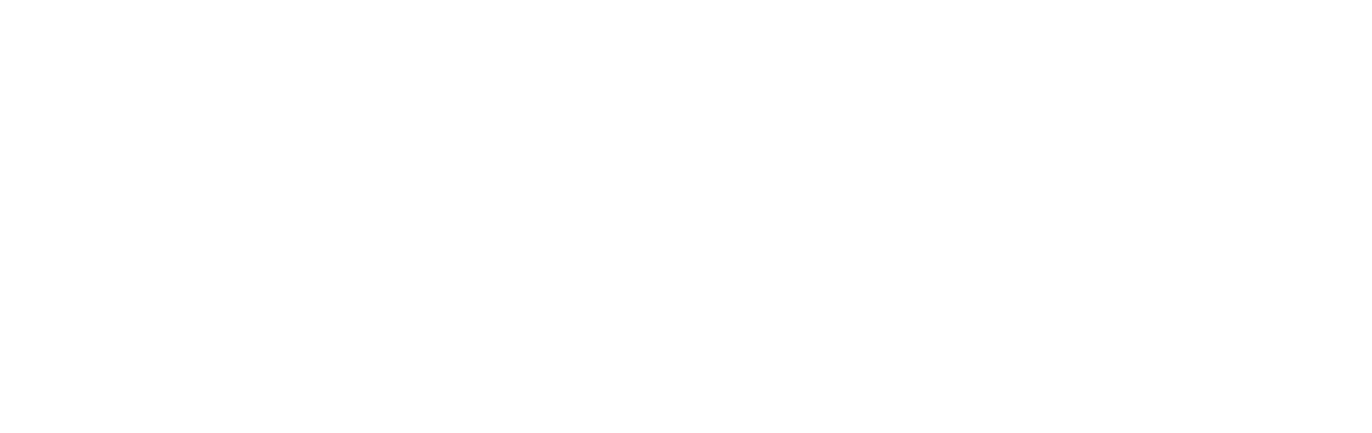 美國簽證王大logo (白) 0